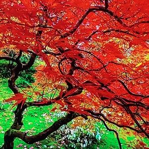 Meet your Posher, Jaylean